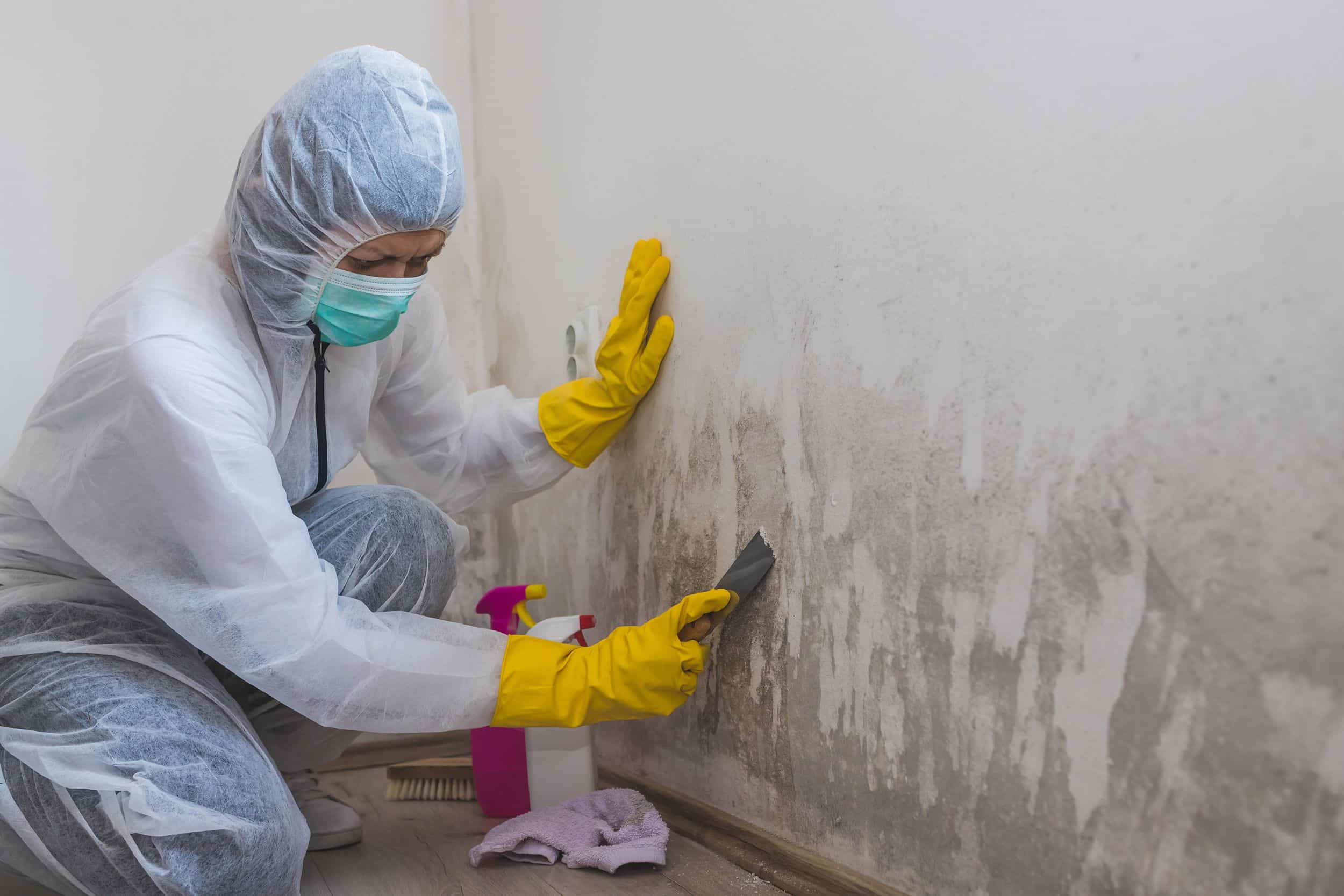How-Much-Does-A-Mold-Inspection-Cost-TruClean